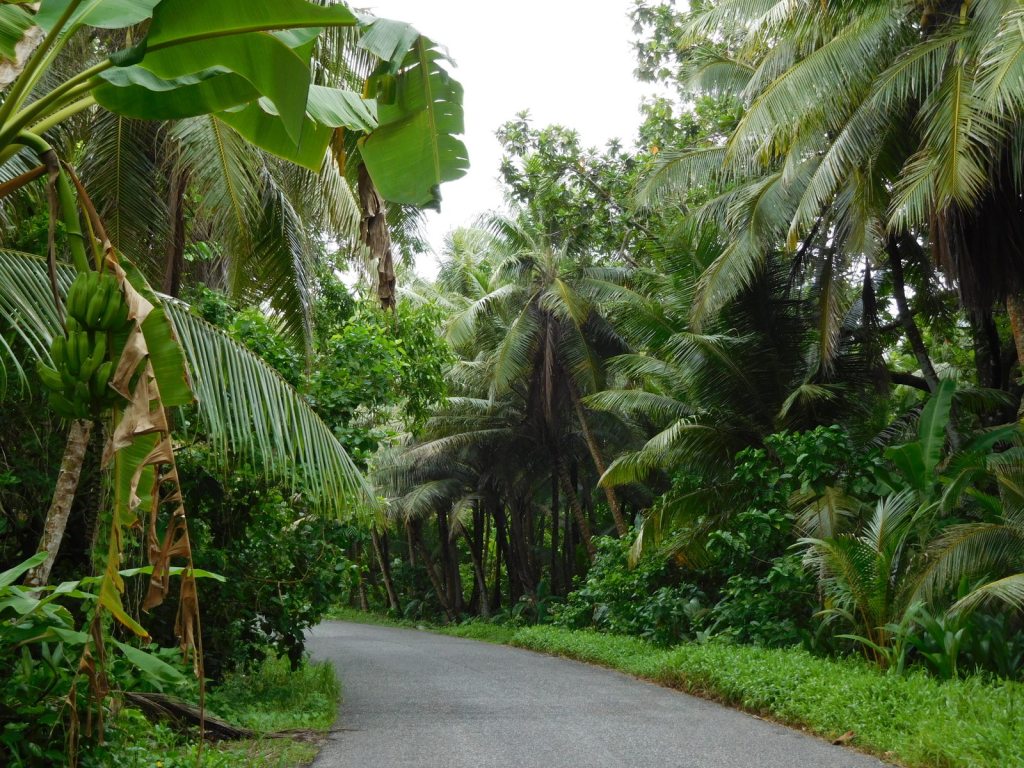 Saarta ympäröivä tie vehreällä Kosraella