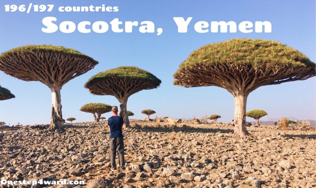 socotra