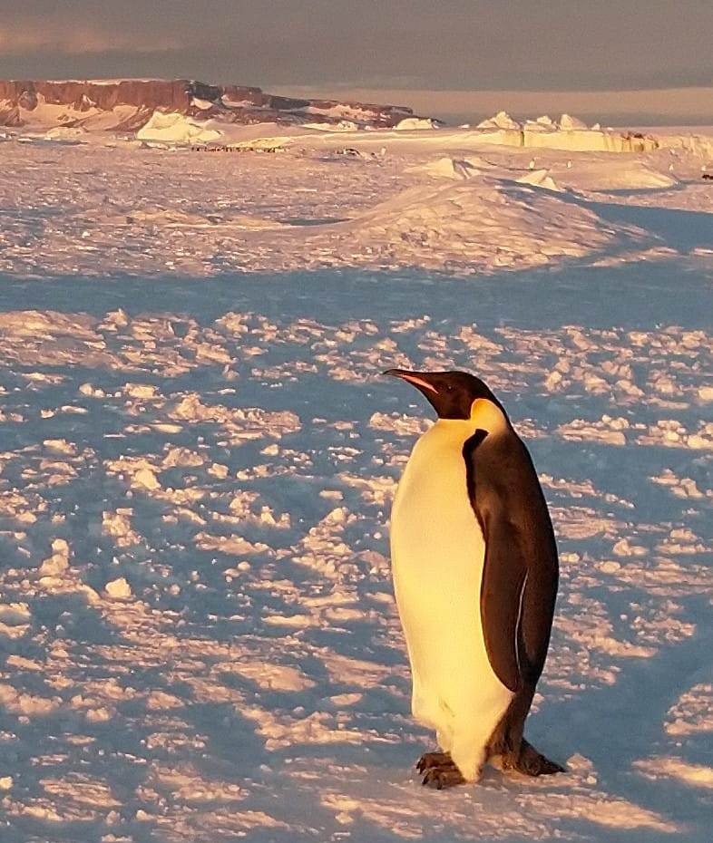 78618686_3176659842349323_6036661291412619264_o